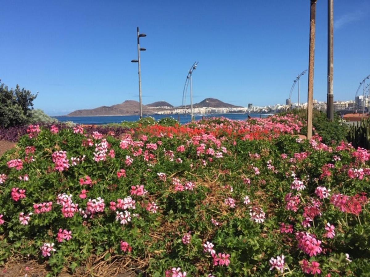Apartmán El Mirador De Ana 4A Las Palmas de Gran Canaria Exteriér fotografie